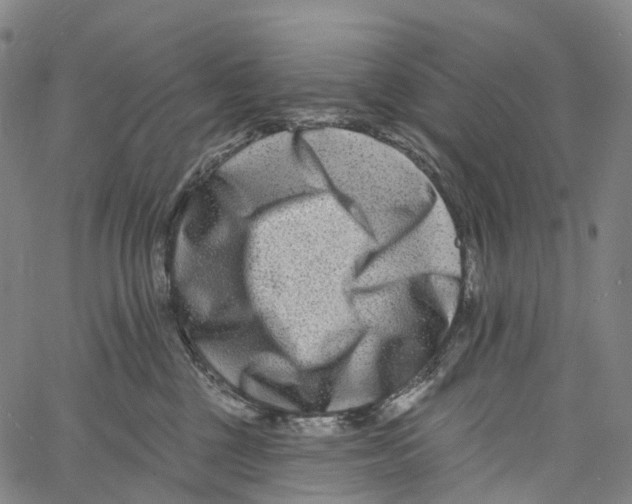 X0000061150377200512161601