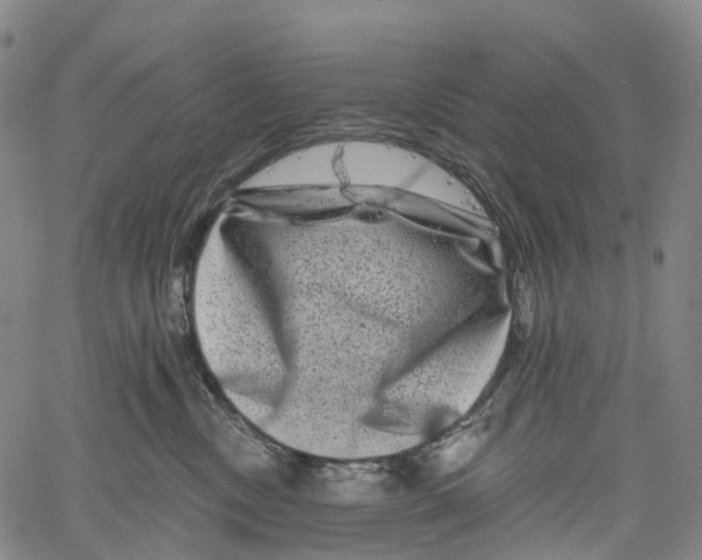 X0000061150378200512161601