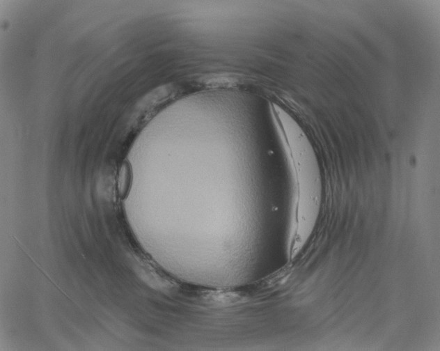 X0000061150379200512161601