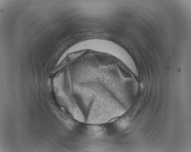 X0000061150380200512161601