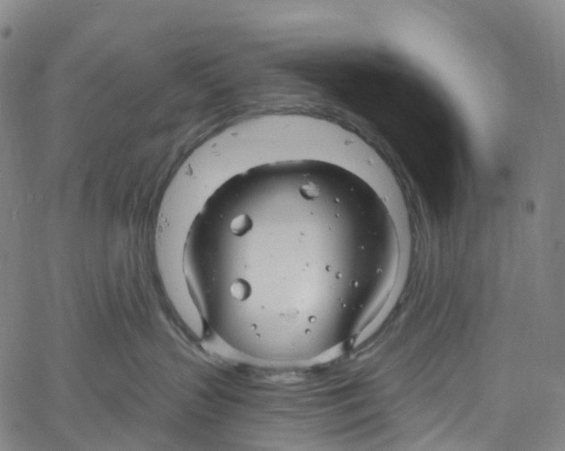 X0000061150383200512161602