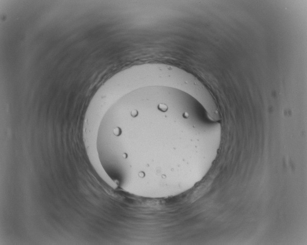 X0000061150384200512161602