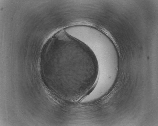 X0000061150387200512161601