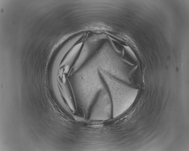 X0000061150388200512161601