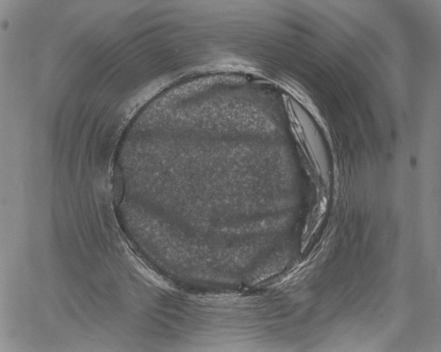 X0000061150389200512161601