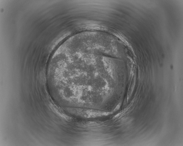 X0000061150390200512161601