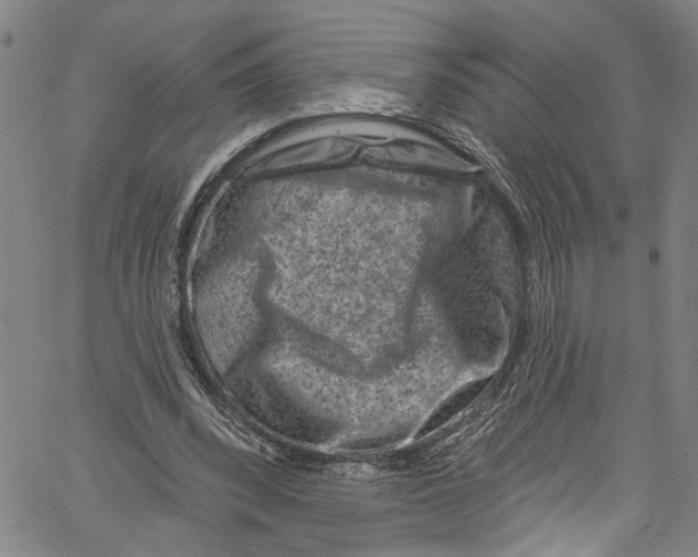 X0000061150392200512161601