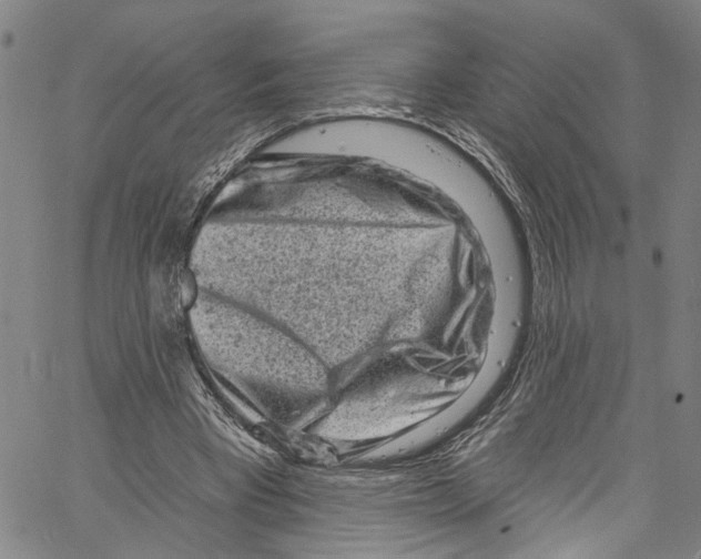 X0000061150393200512161601