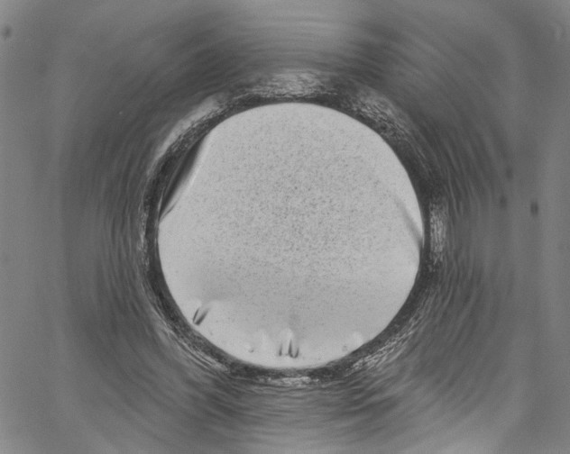 X0000061150396200512161601