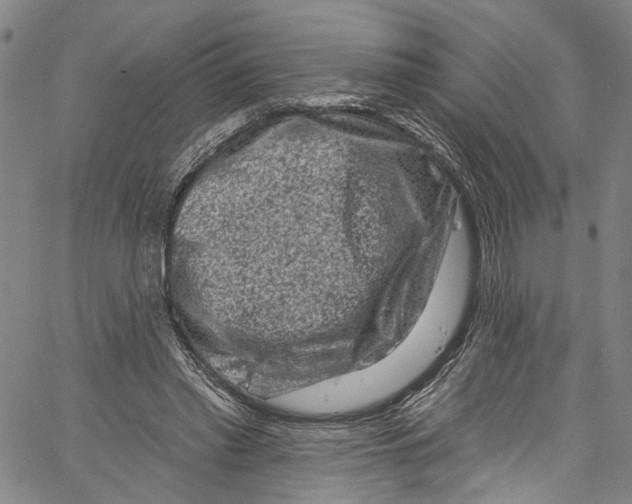 X0000061150397200512161601