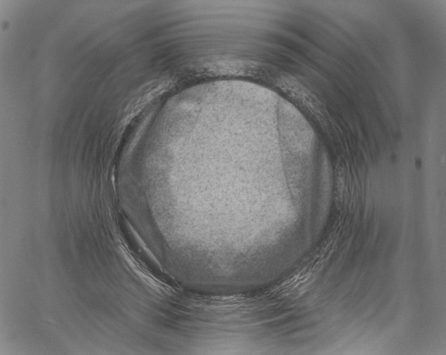 X0000061150398200512161601