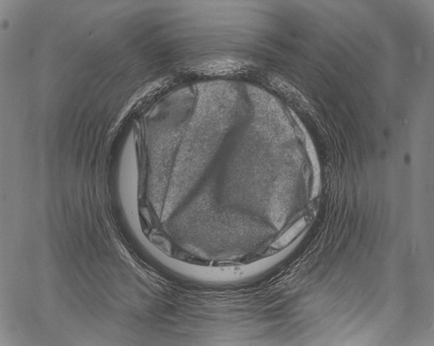 X0000061150400200512161601