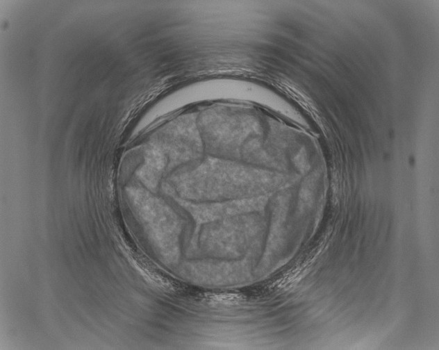 X0000061150401200512161601