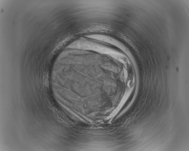 X0000061150403200512161600