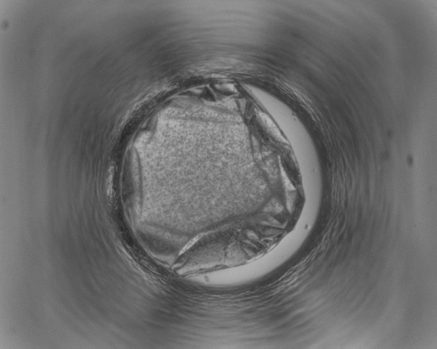 X0000061150404200512161600