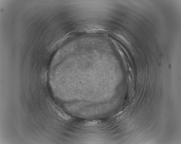 X0000061150405200512161600