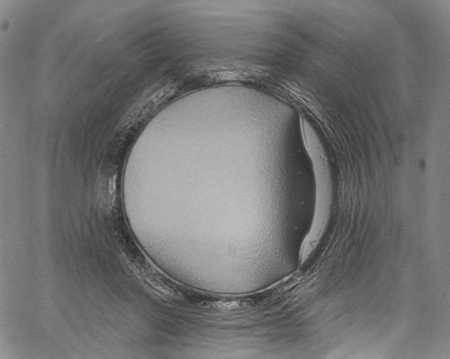 X0000061150406200512161600