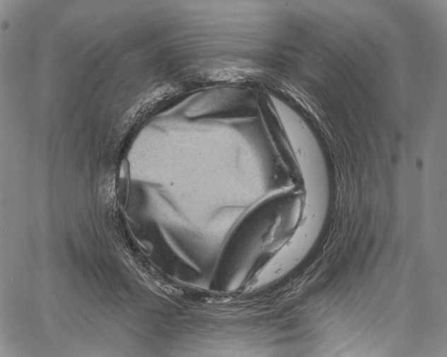 X0000061150407200512161600