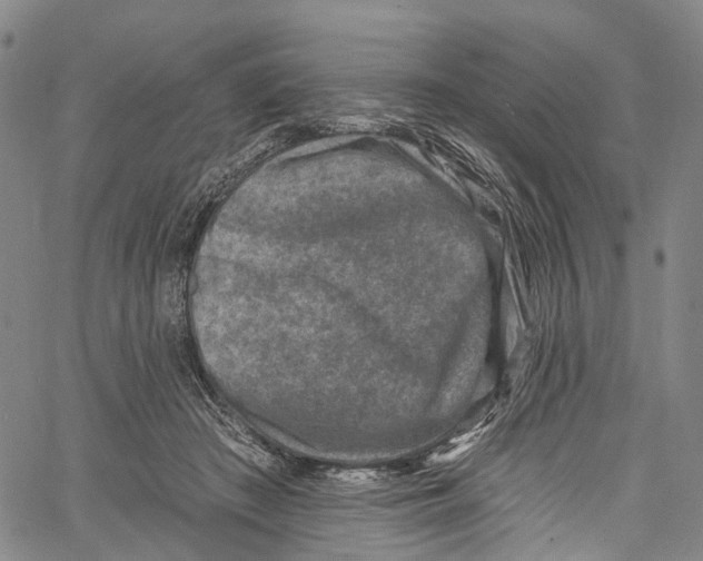 X0000061150409200512161600