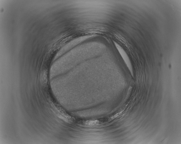 X0000061150410200512161600