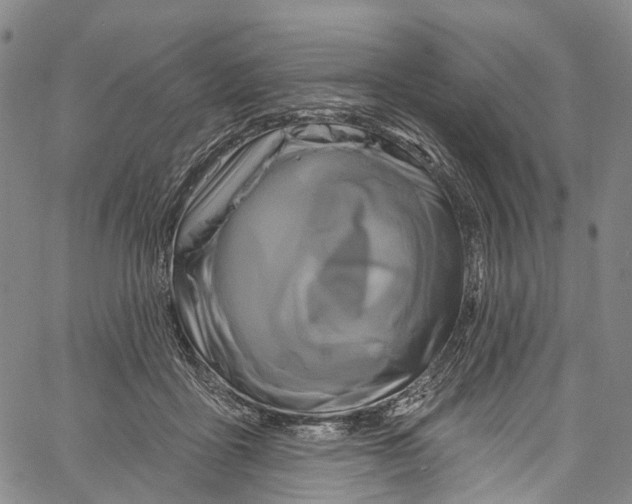 X0000061150411200512161600