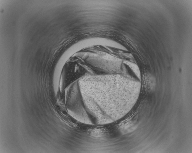 X0000061150412200512161600