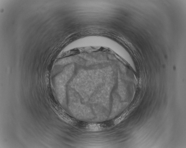 X0000061150413200512161600