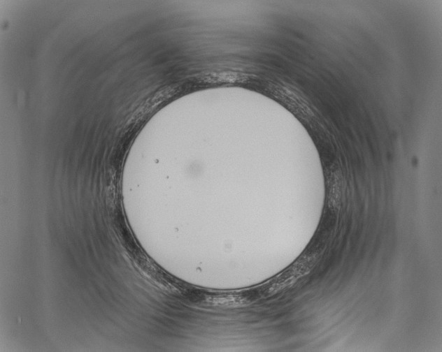 X0000061150414200512161600