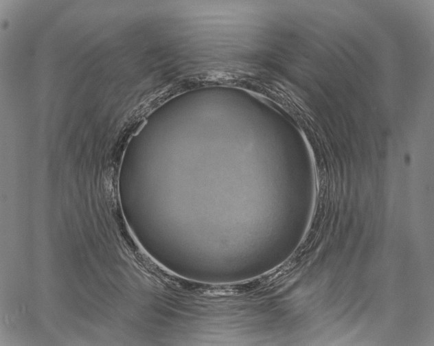 X0000061150415200512161600