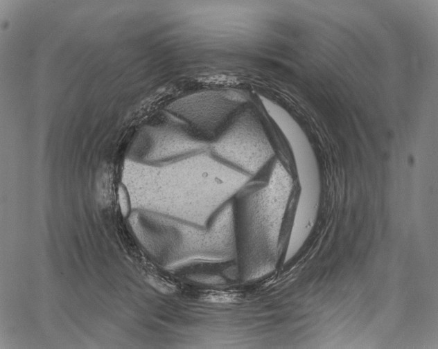 X0000061150416200512161600