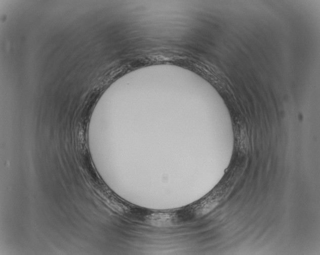 X0000061150418200512161600