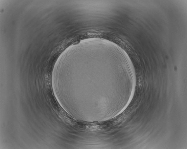 X0000061150419200512161600