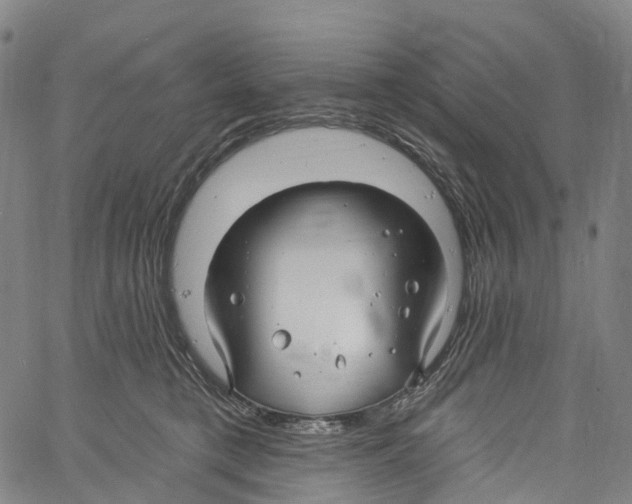 X0000061150421200512161600