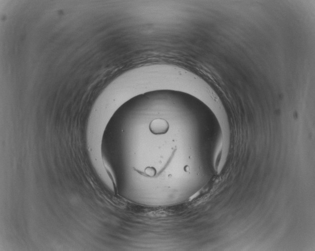 X0000061150423200512161600