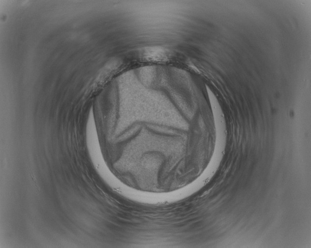 X0000061150424200512161600