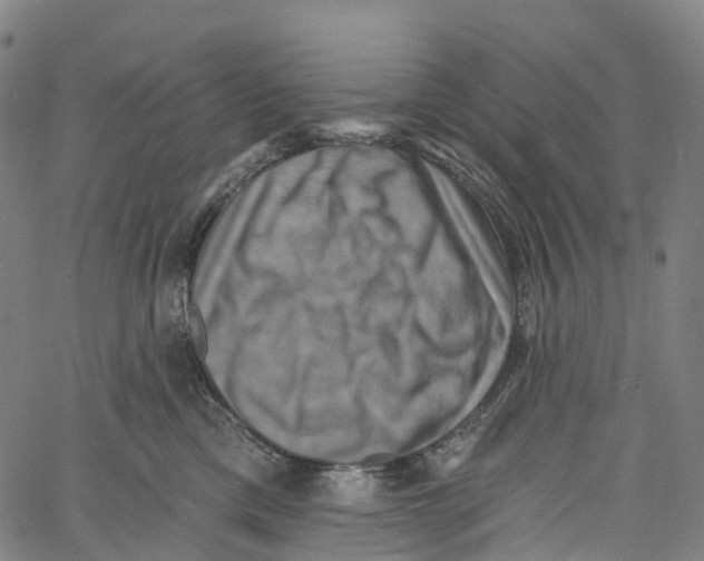 X0000061150425200512161600