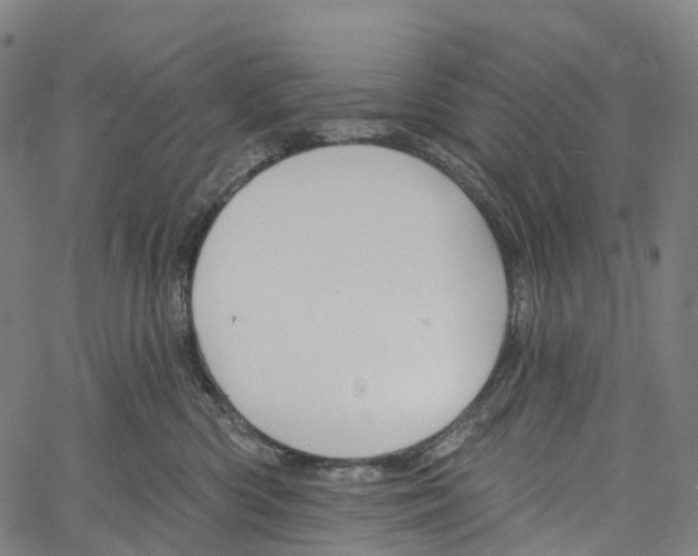 X0000061150426200512161600