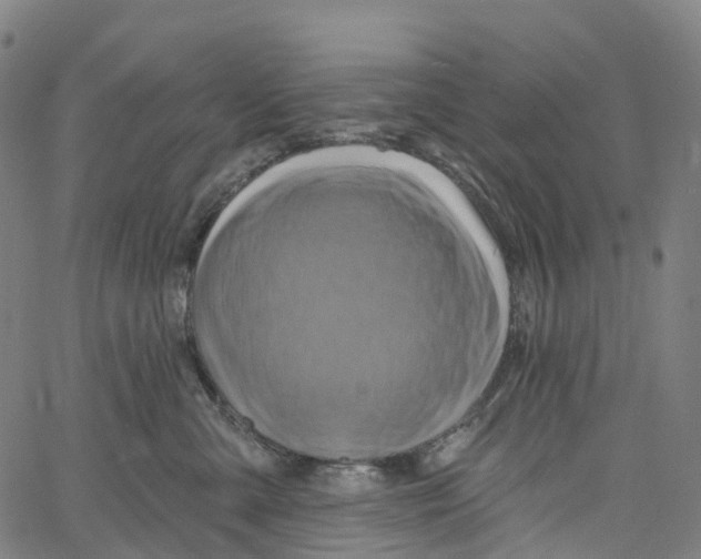 X0000061150427200512161600