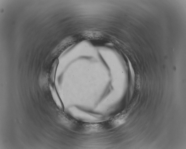 X0000061150428200512161600