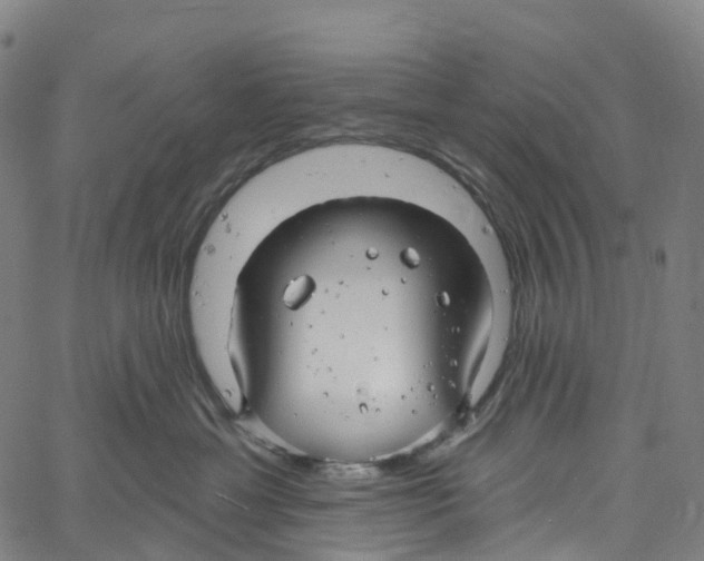 X0000061150429200512161600