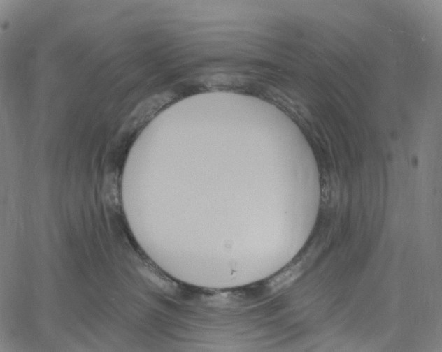 X0000061150430200512161600