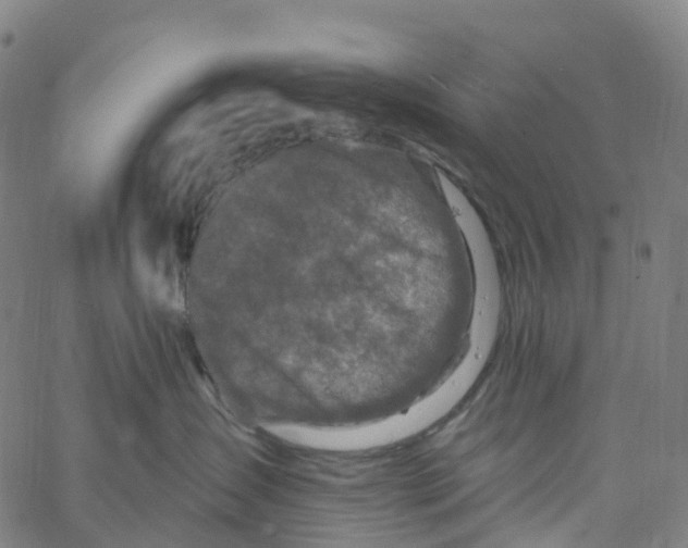 X0000061150431200512161600