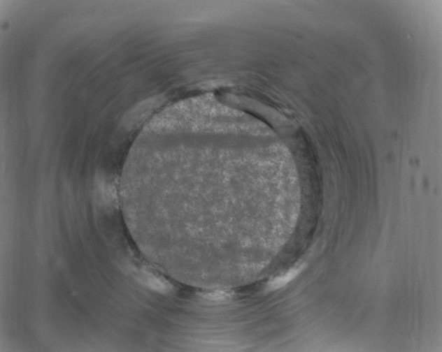 X0000061150432200512161600