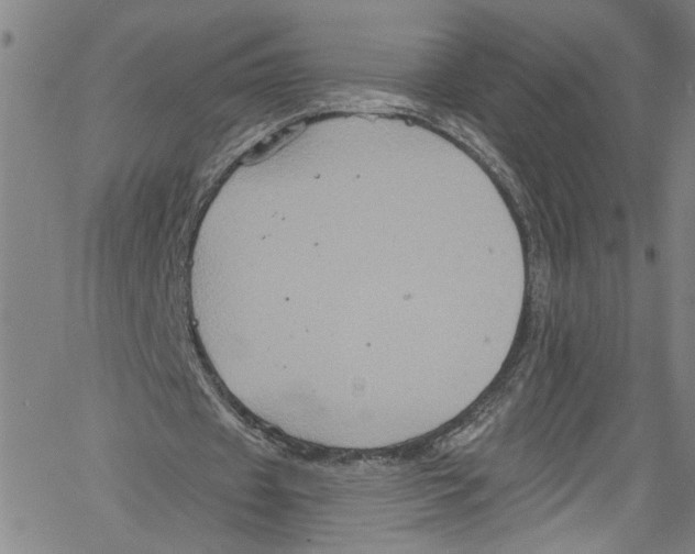 X0000061150433200512161559