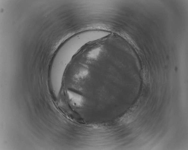 X0000061150434200512161559