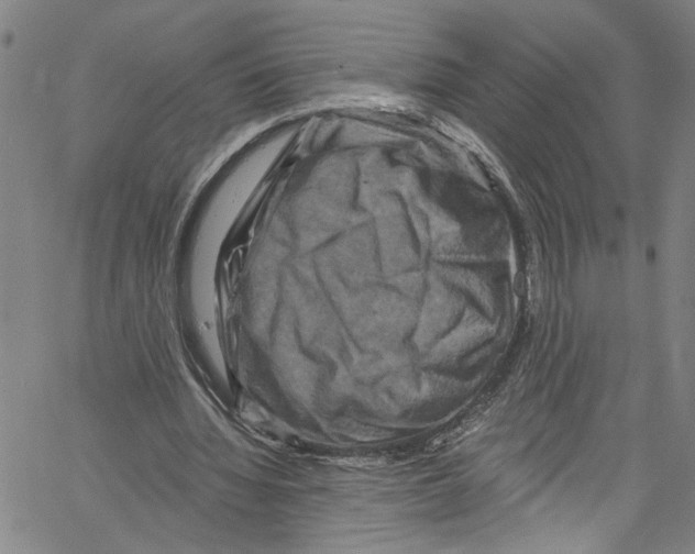 X0000061150436200512161559