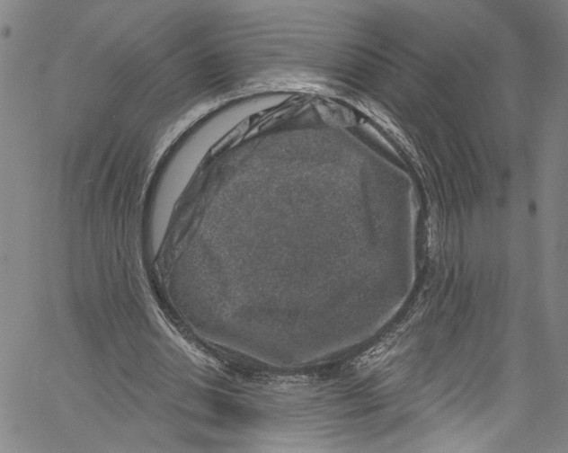 X0000061150438200512161559