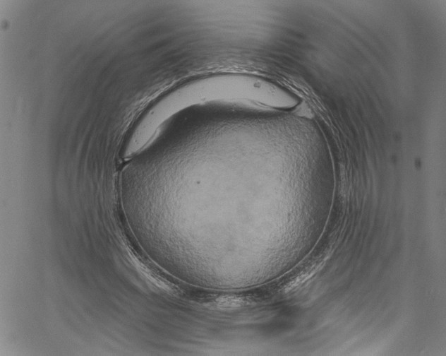 X0000061150441200512161559