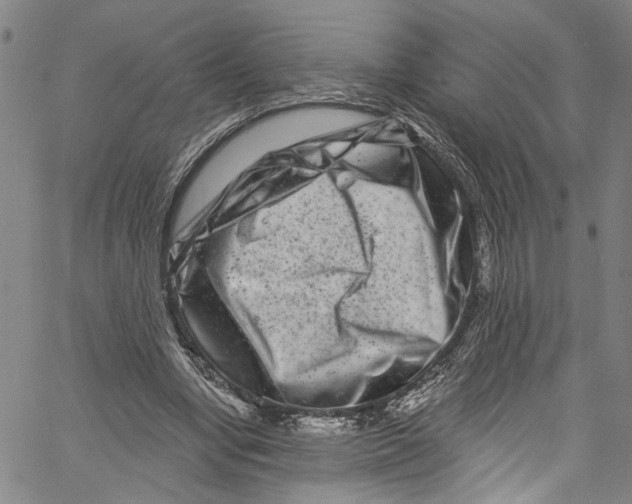 X0000061150442200512161559