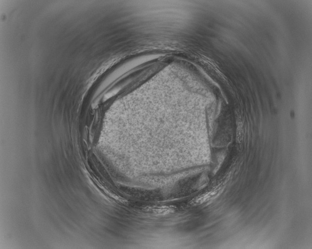 X0000061150443200512161559